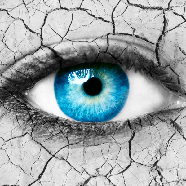AdobeStock_42265991s